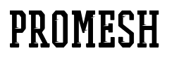 معاينة PROMESH Two Fast
