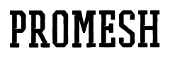 PROMESH Two