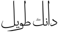 دانج لونج