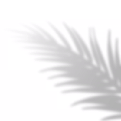 ظل: عنصر رقم 10375