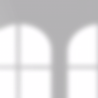ظل: عنصر رقم 10383