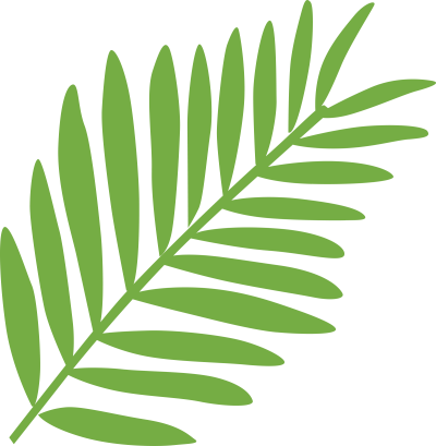 مخطوطة مخطوطات 