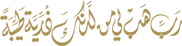 قالب تصميم احترافي - من تطبيق أندلسي للتصميم