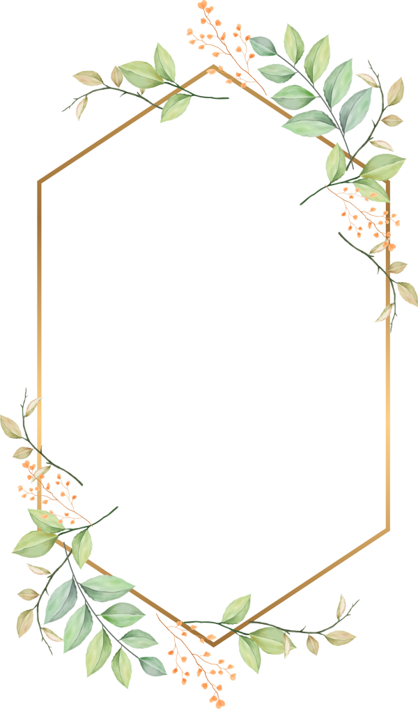 قالب تصميم احترافي - من تطبيق أندلسي للتصميم