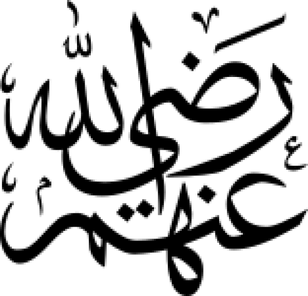 قالب تصميم احترافي - من تطبيق أندلسي للتصميم