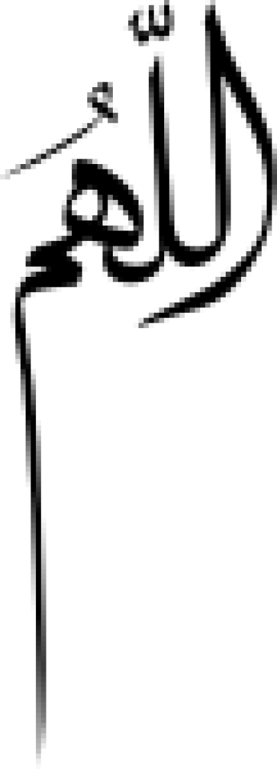مخطوطة مخطوطات 