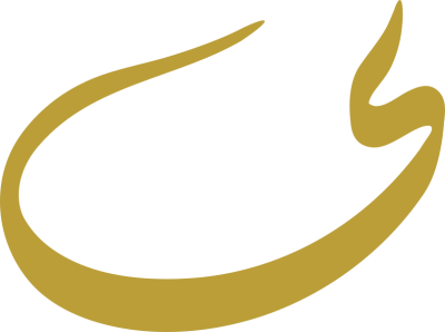 مخطوطة مخطوطات 