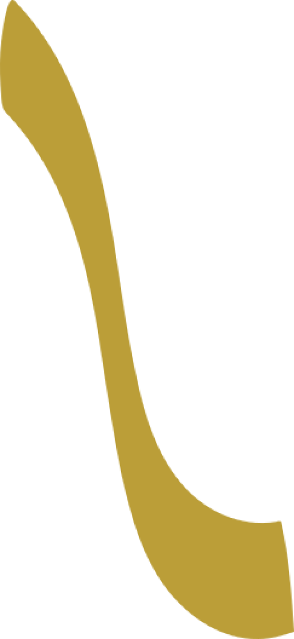 قالب تصميم احترافي - من تطبيق أندلسي للتصميم