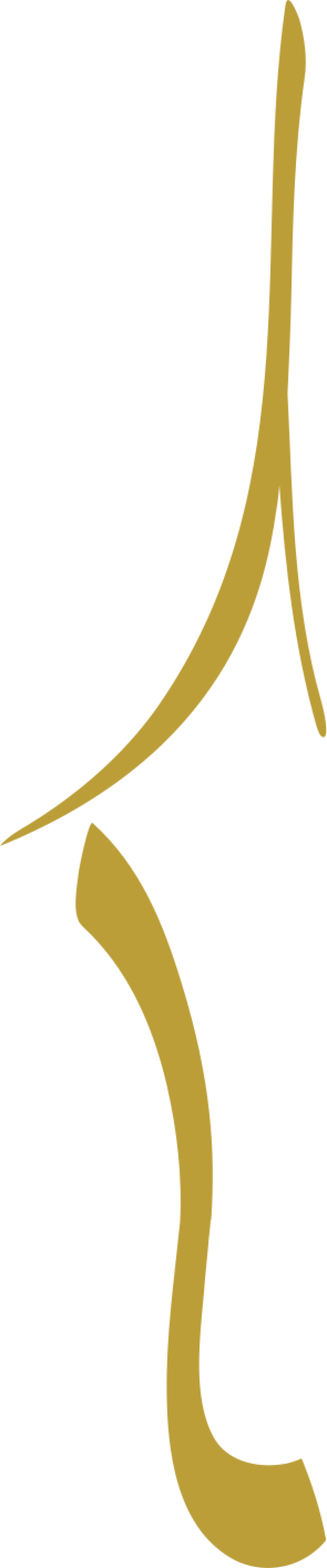 قالب تصميم احترافي - من تطبيق أندلسي للتصميم