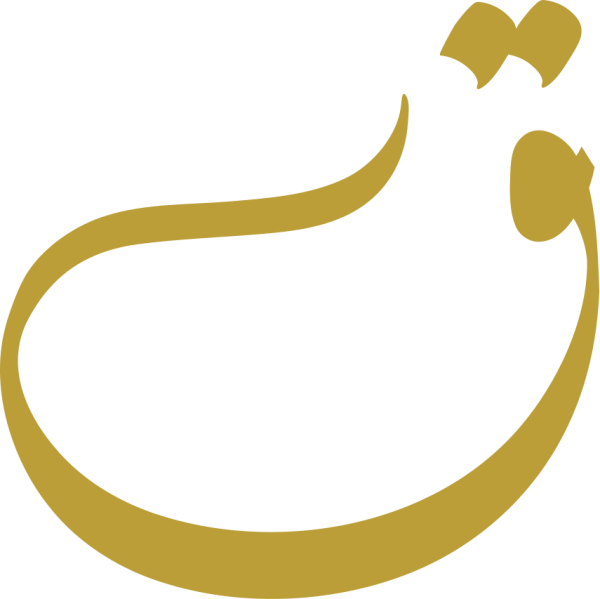 قالب تصميم احترافي - من تطبيق أندلسي للتصميم