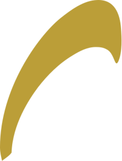 مخطوطة مخطوطات 