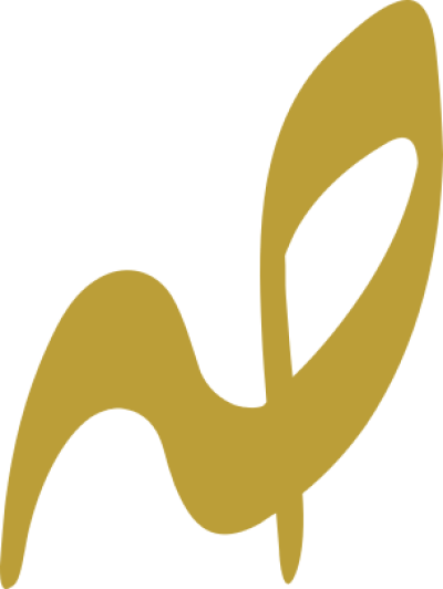 مخطوطة مخطوطات 