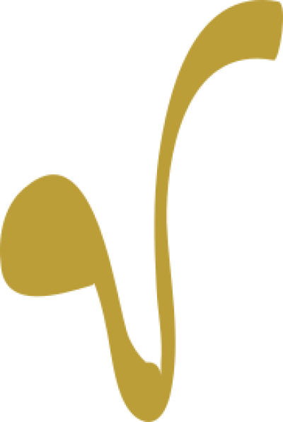 مخطوطة مخطوطات 