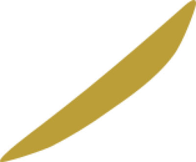 مخطوطة مخطوطات  — حروف ديواني