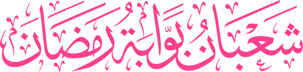 قالب تصميم احترافي - من تطبيق أندلسي للتصميم