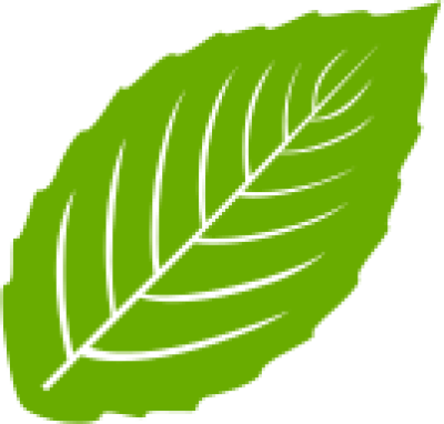 مخطوطة مخطوطات 
