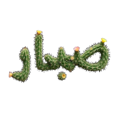 الكل