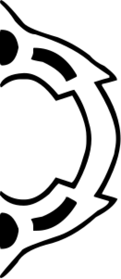 مخطوطة مخطوطات 