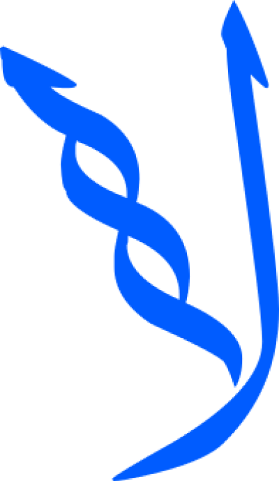 مخطوطة مخطوطات 