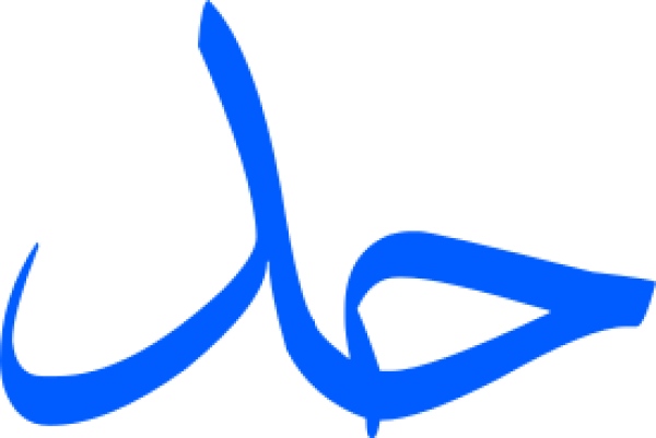 قالب تصميم احترافي - من تطبيق أندلسي للتصميم
