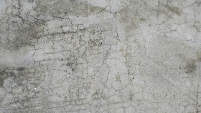 مخطوطة مخطوطات  — جدران