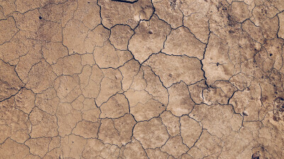 مخطوطة مخطوطات  — جدران