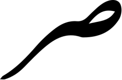 مخطوطة مخطوطات 