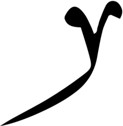 مخطوطة مخطوطات 