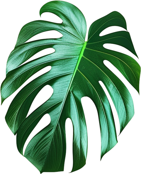 قالب تصميم احترافي - من تطبيق أندلسي للتصميم