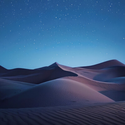 صحراء: صورة رقم 7788