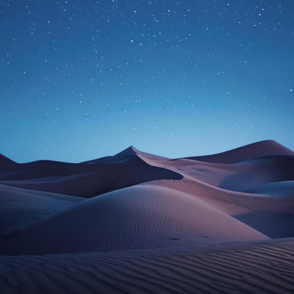 صحراء: صورة رقم 7788