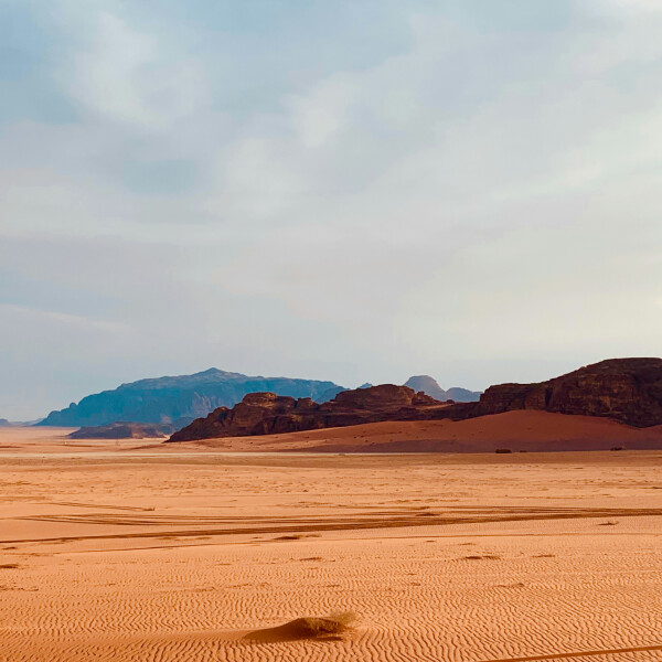 صحراء: صورة رقم 7789