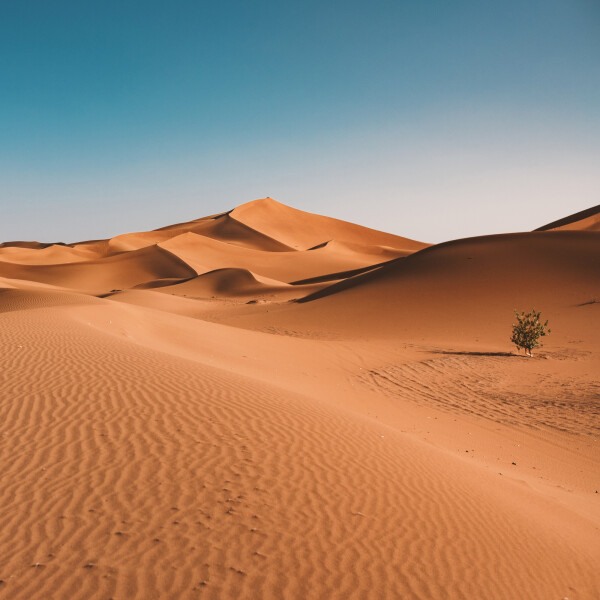 صحراء: صورة رقم 7794
