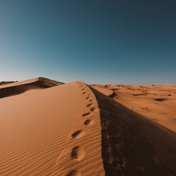 صحراء: صورة رقم 7795