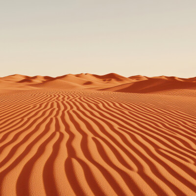 مخطوطة مخطوطات  — صحراء