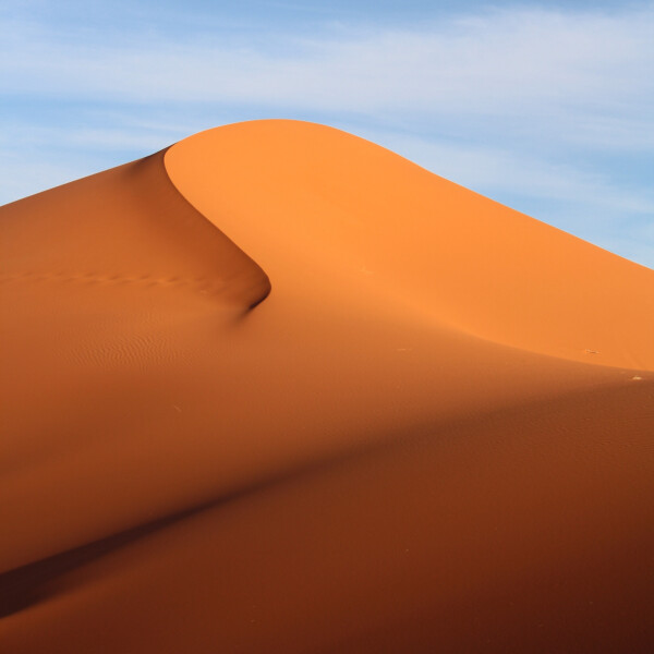 صحراء: صورة رقم 7797