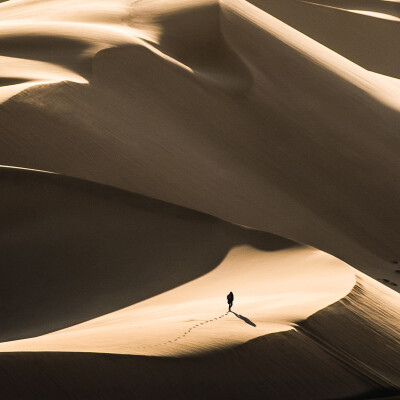 صحراء: صورة رقم 7798