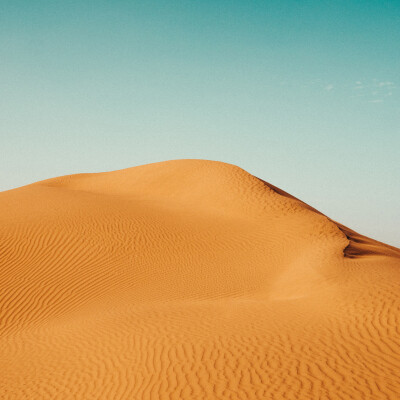 صحراء: صورة رقم 7799