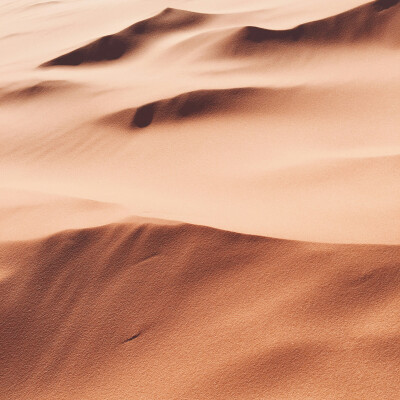 صحراء: صورة رقم 7800
