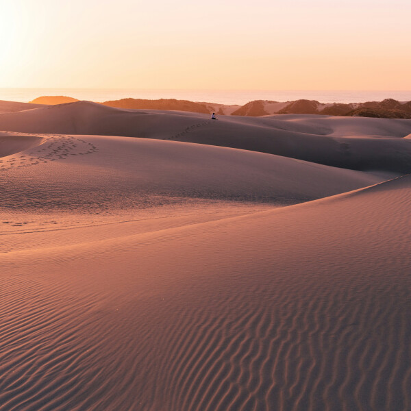 صحراء: صورة رقم 7801