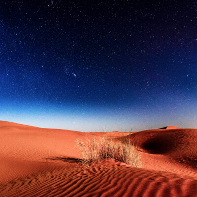 مخطوطة مخطوطات  — صحراء