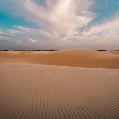 مخطوطة مخطوطات  — صحراء