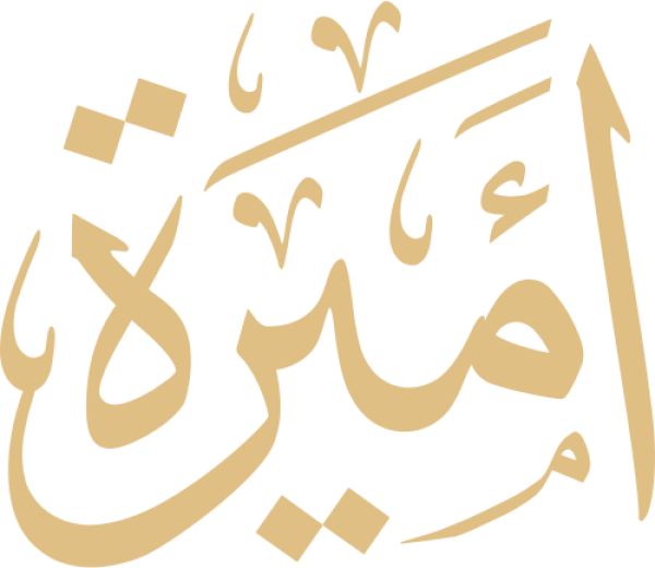قالب تصميم أميرة - من تطبيق أندلسي للتصميم